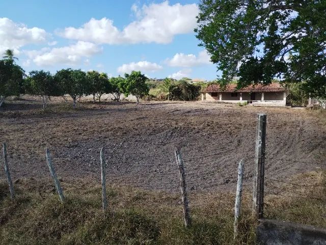 Granja no Arenã, Monte Alegre/RN