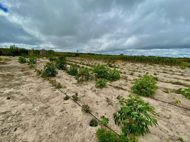 Sitio em Morro de Chapeu  - Foto 3