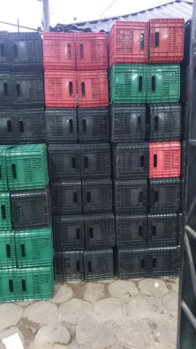 Basquetas novas/ caixa plastica 