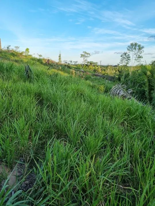 TERRA A VENDA 43,5 ALQUEIRES EM MACHADINHO 