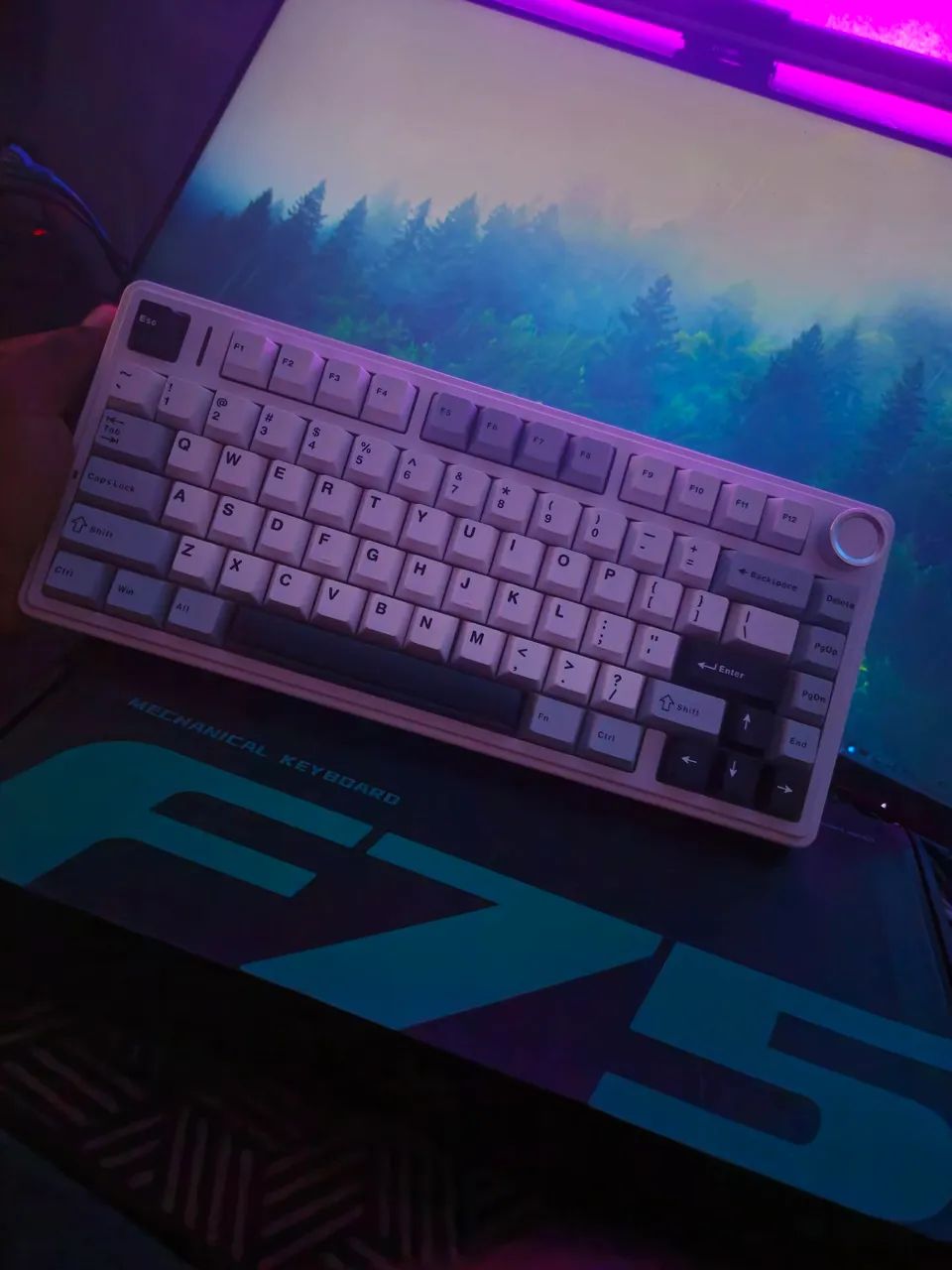 Aula F75 75% Teclado mecânico sem fio Branco