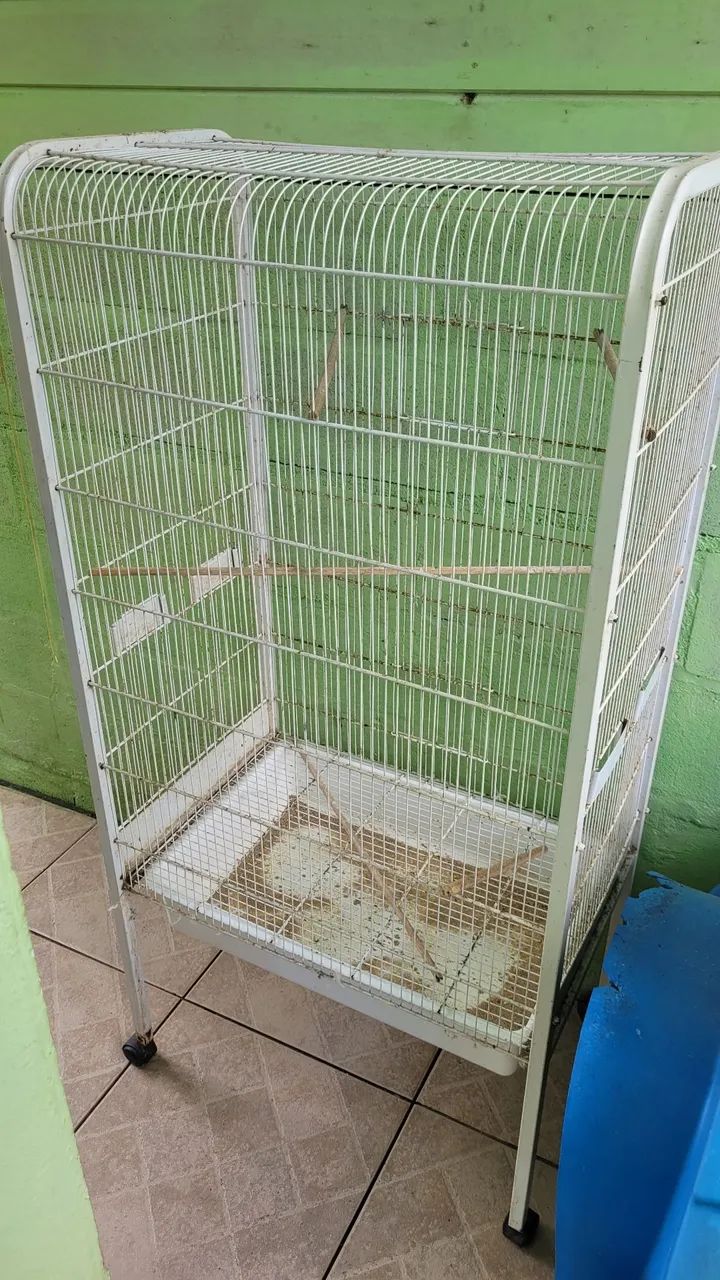 Cages / aviaries64313864423554120