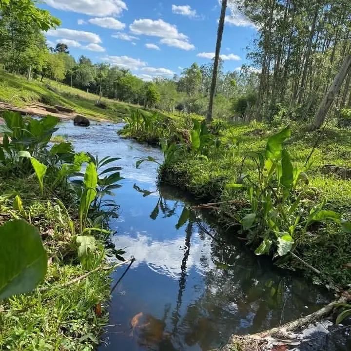 Chácara em taquara  - Foto 7