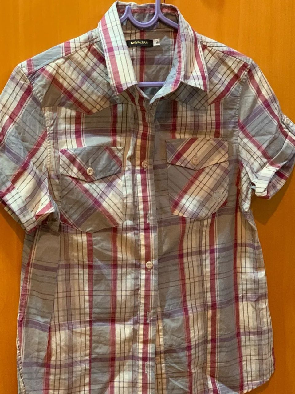 Blusa/ camisa feminina 