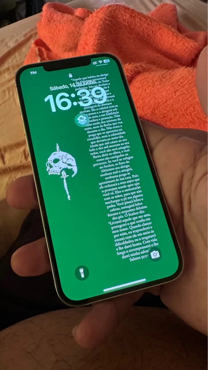 iPhone 12 Pro Max 256gb