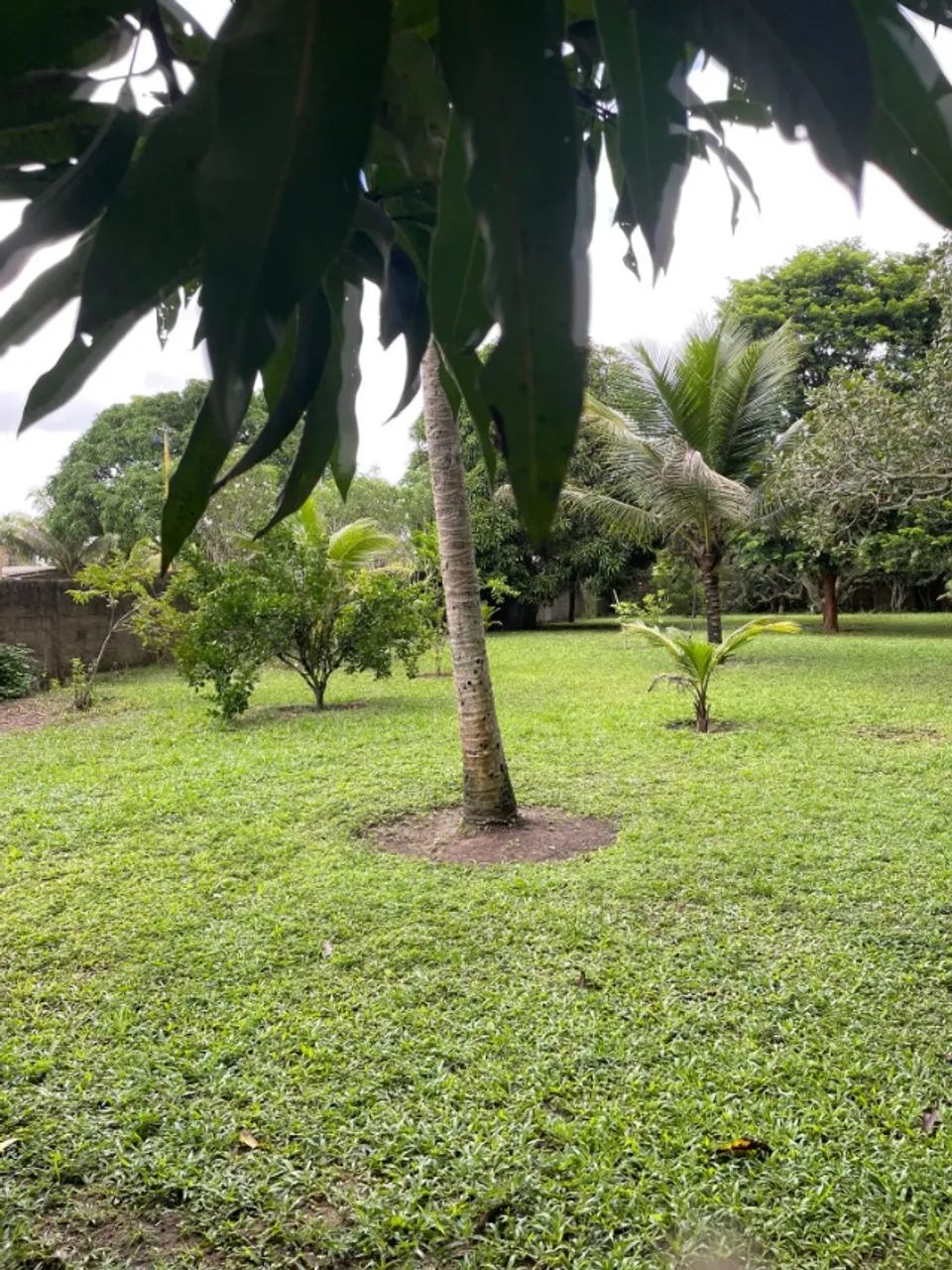 Chácara em Aldeia com 6300m2  - Foto 3