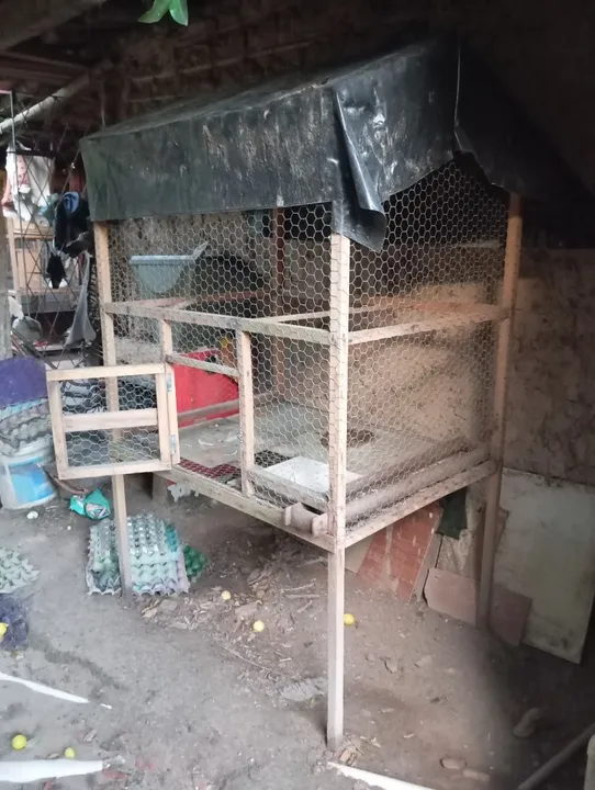Gaiola para aves