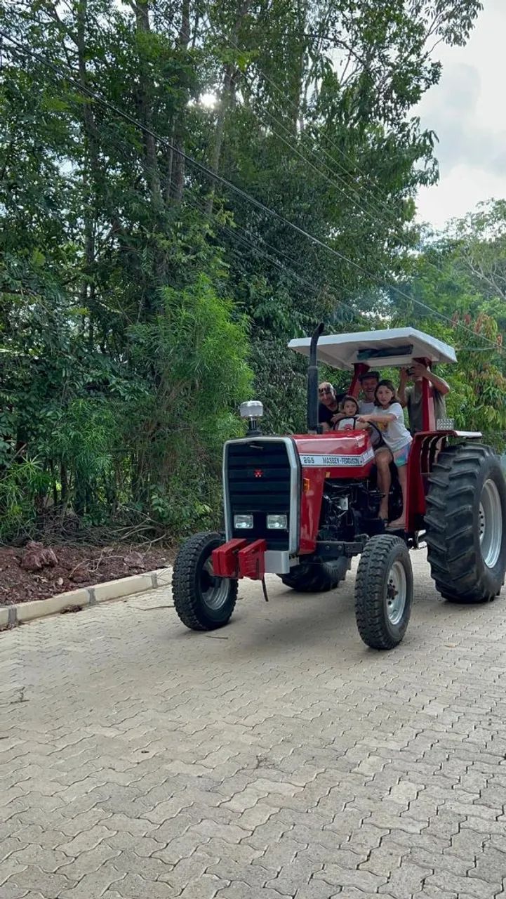 Trator Massey Ferguson 265 - Perfeito para sua propriedade