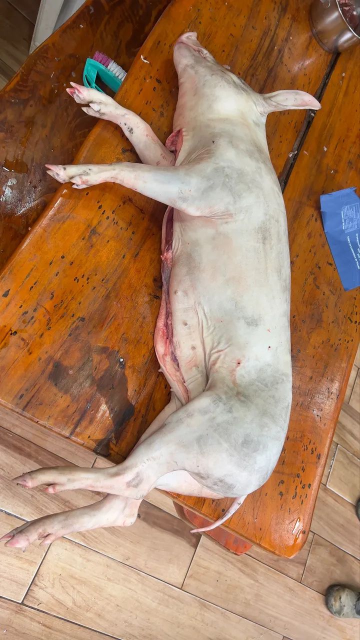 Leitoas caipira para o natal - Foto 4