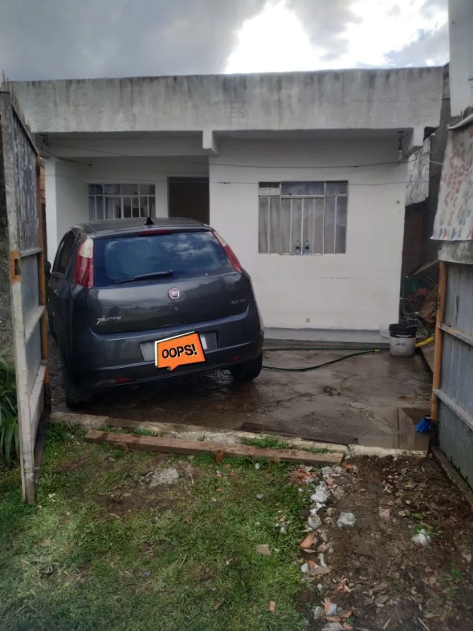 Foto - Araucária - Campina da Barra