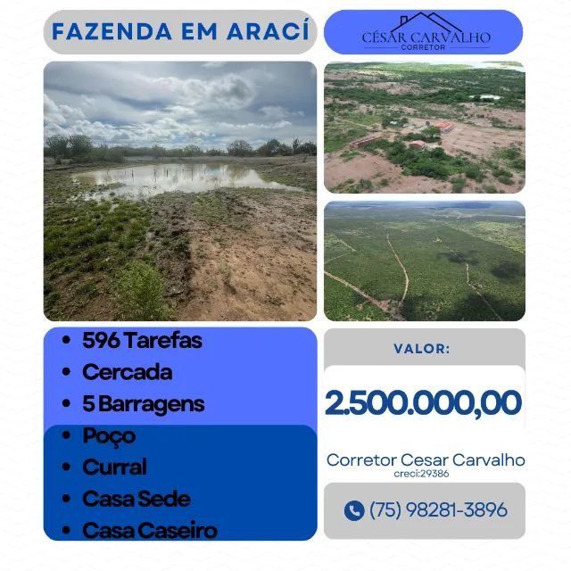 FAZENDA EM ARACÍ - 596 TAREFAS