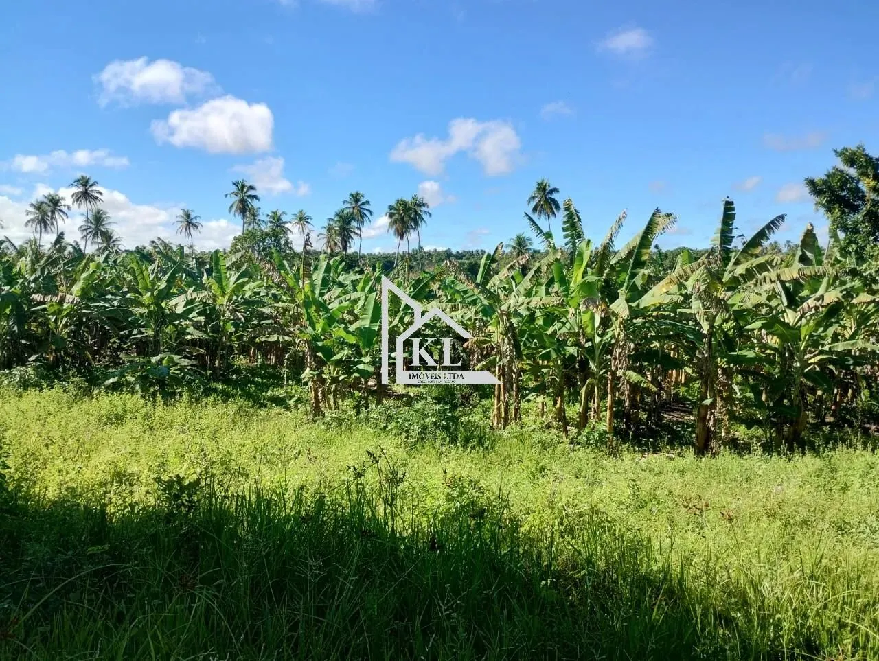 OPORTUNIDADE - Sitio com 23,76 Hectares - Rio e Lagoa - Escritura Publica- Rio do Fogo
