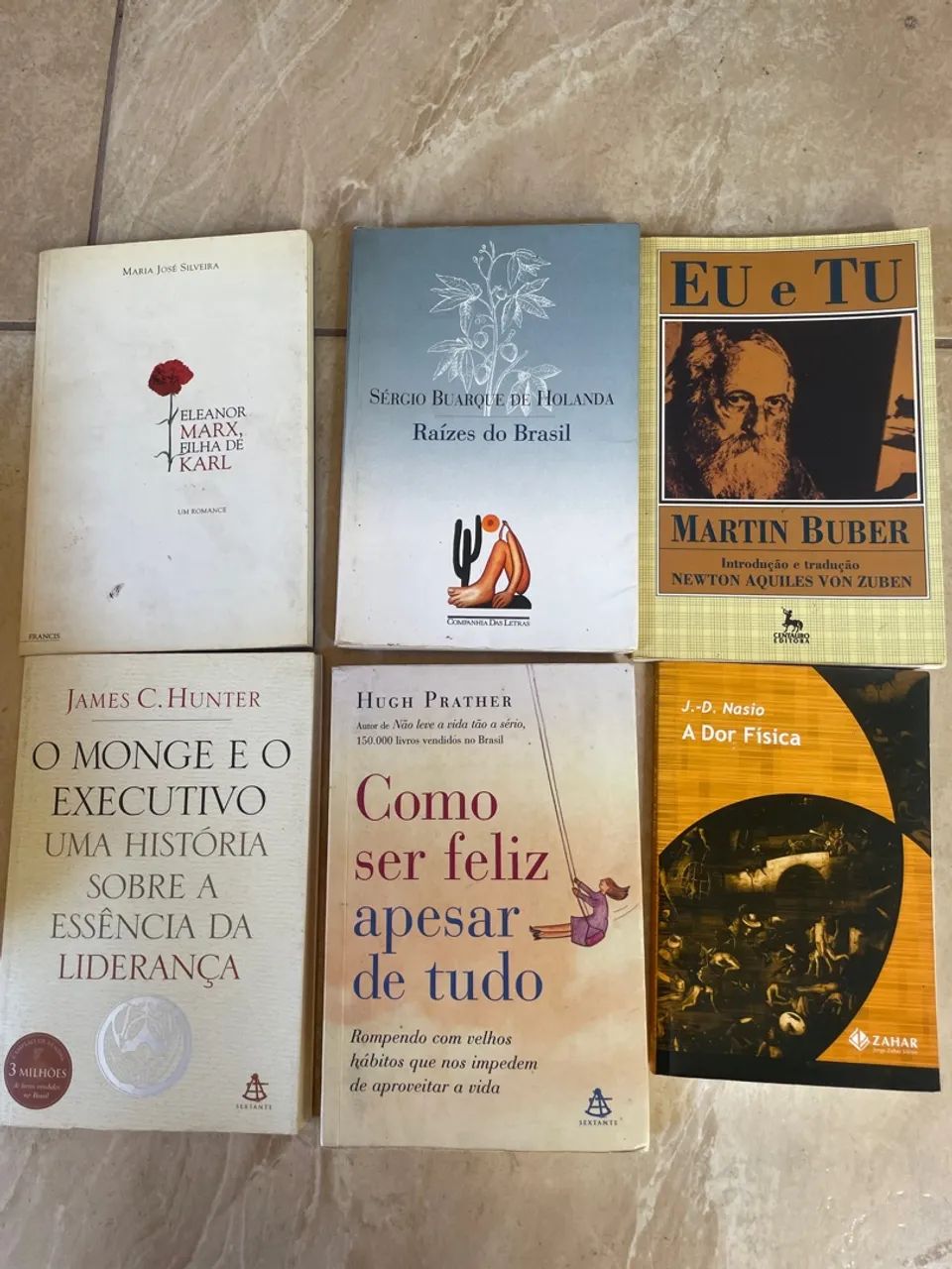 Coleção de Livros Diversos - Romance, Filosofia e Liderança