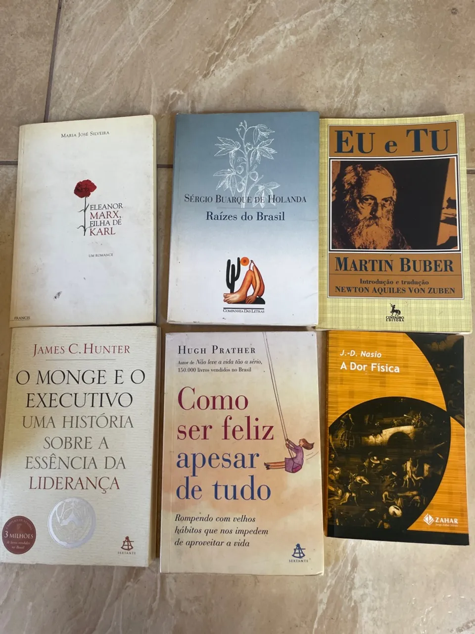 Coleção de Livros Diversos - Romance, Filosofia e Liderança