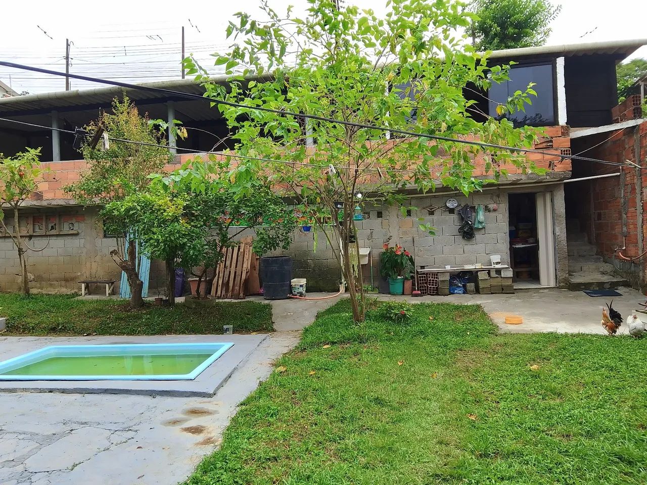 Chacrinha mil metros  - Foto 6