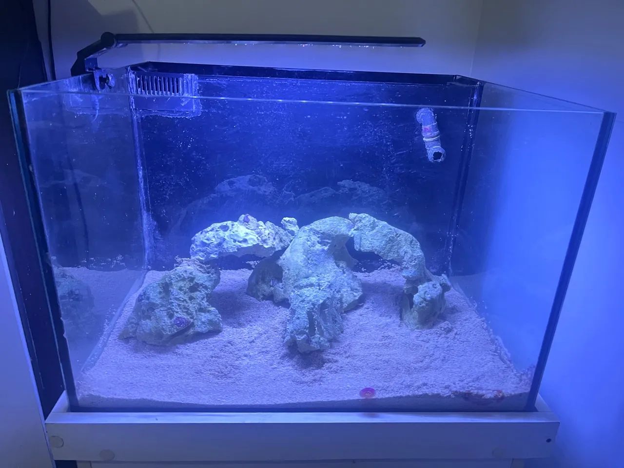 Aquário com sump traseiro