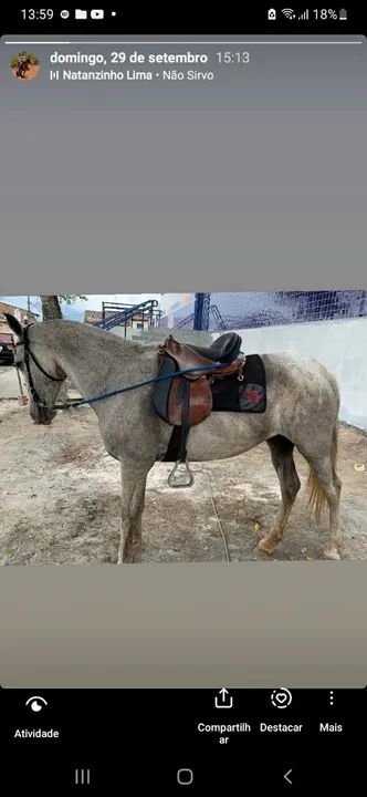 Vendo egua de picado - Foto 2