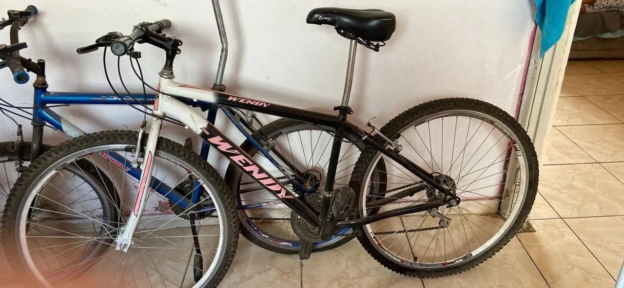 Bicicleta Wendy 