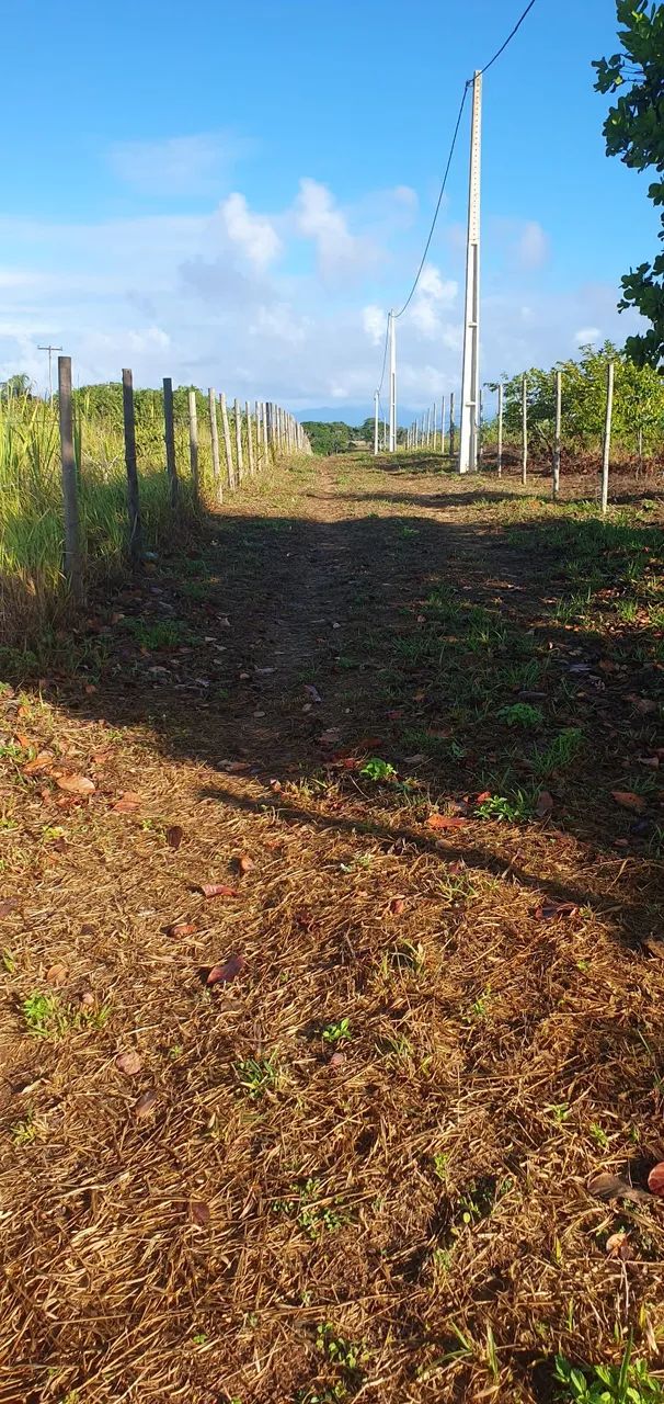 Terreno - Foto 4
