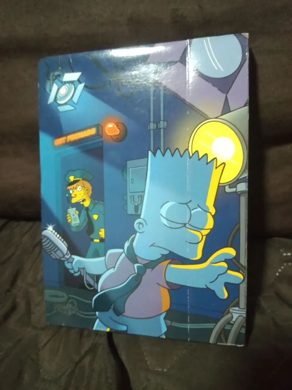 Os Simpsons - 10ª Temporada Completa - DVD Edição Colecionador