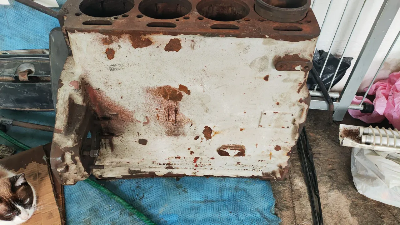 Bloco motor 229