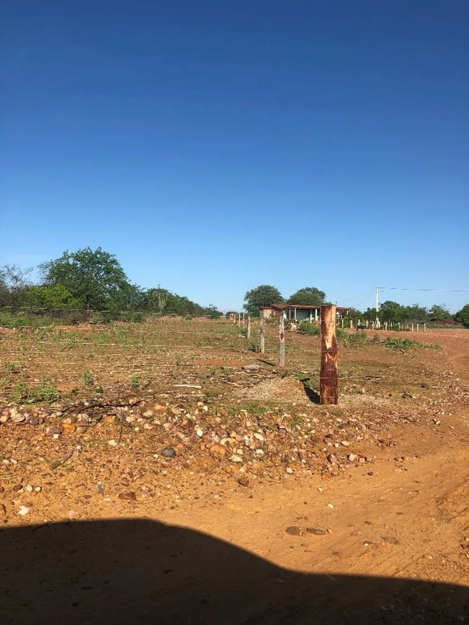 Área em Curaça - BA - Foto 4