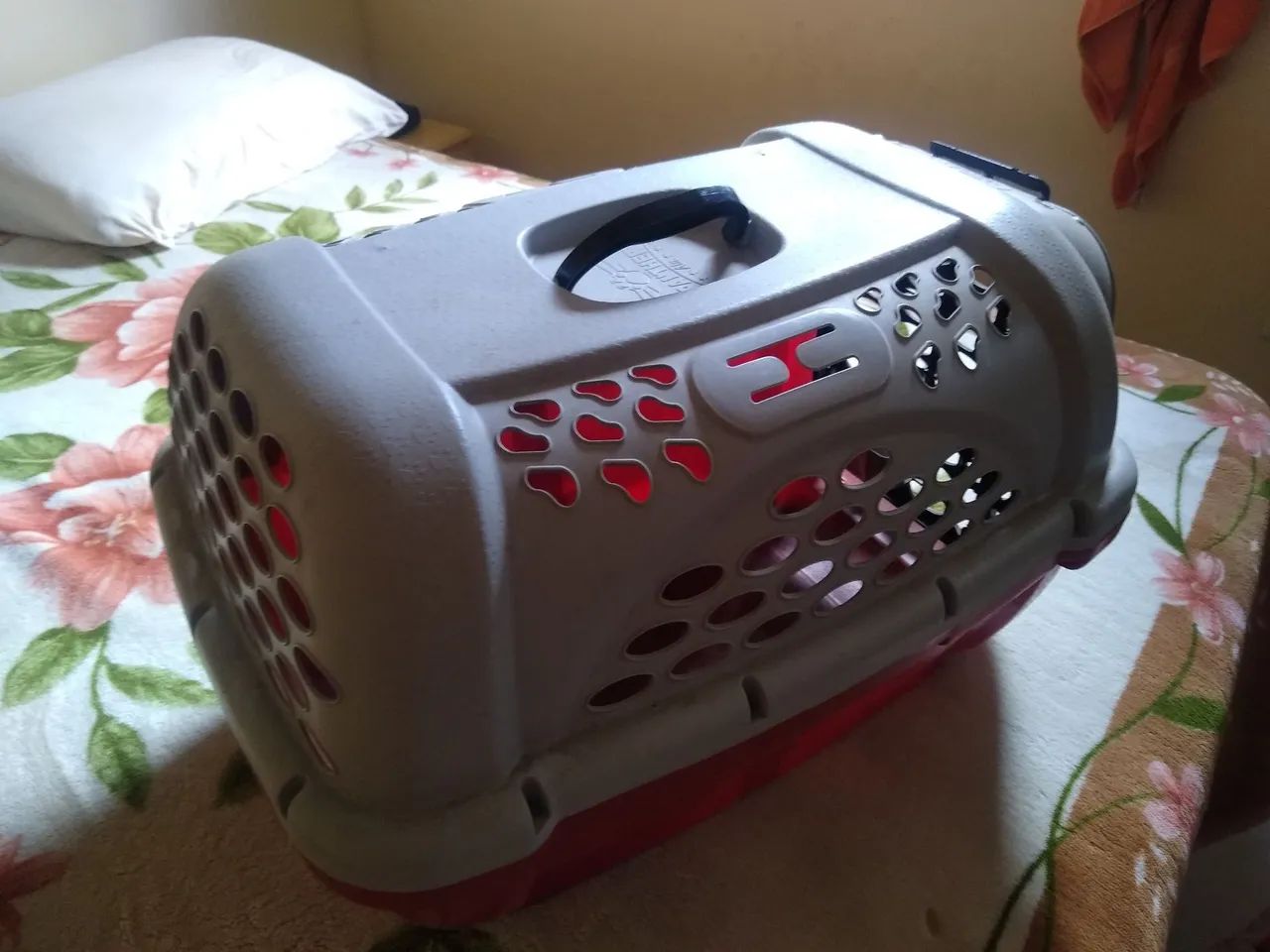 Caixa de transporte para PET  - Foto 4
