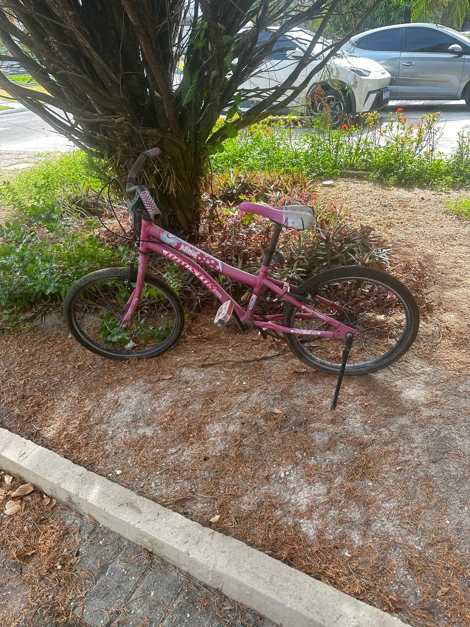 Bicicleta Infantil Aro 20 Rosa ?