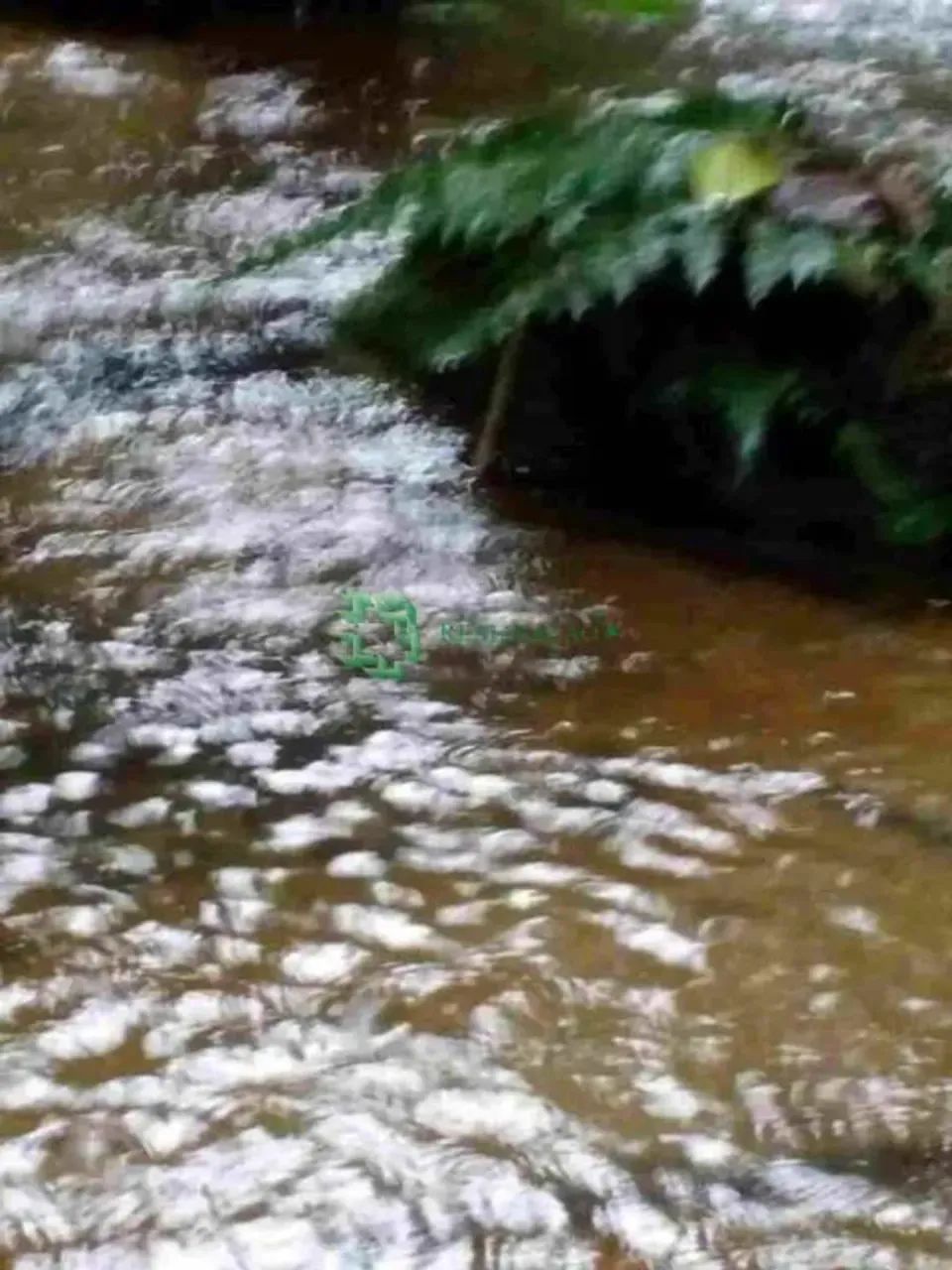 CHÁCARA EM MONGAGUÁ - Foto 3