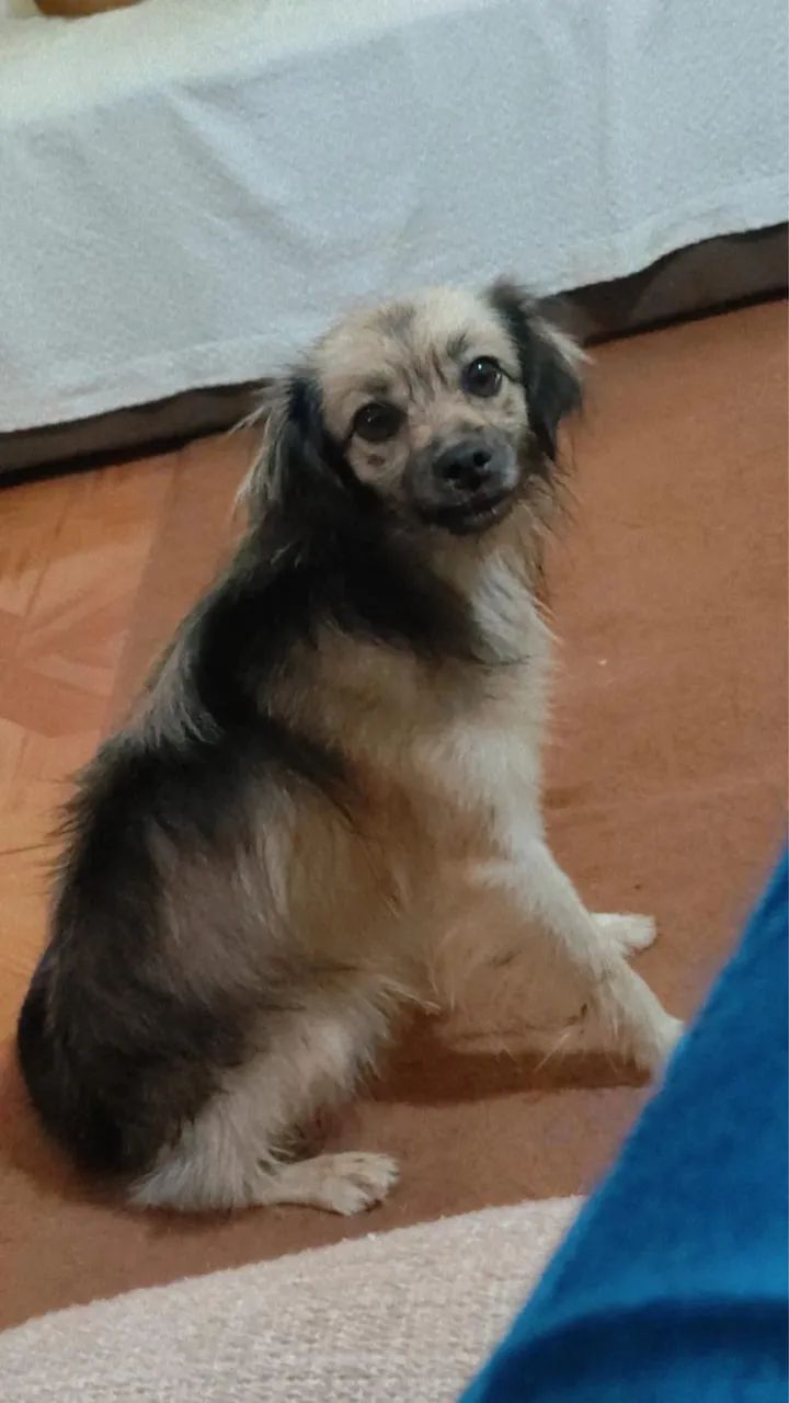 Doação  - Foto 3