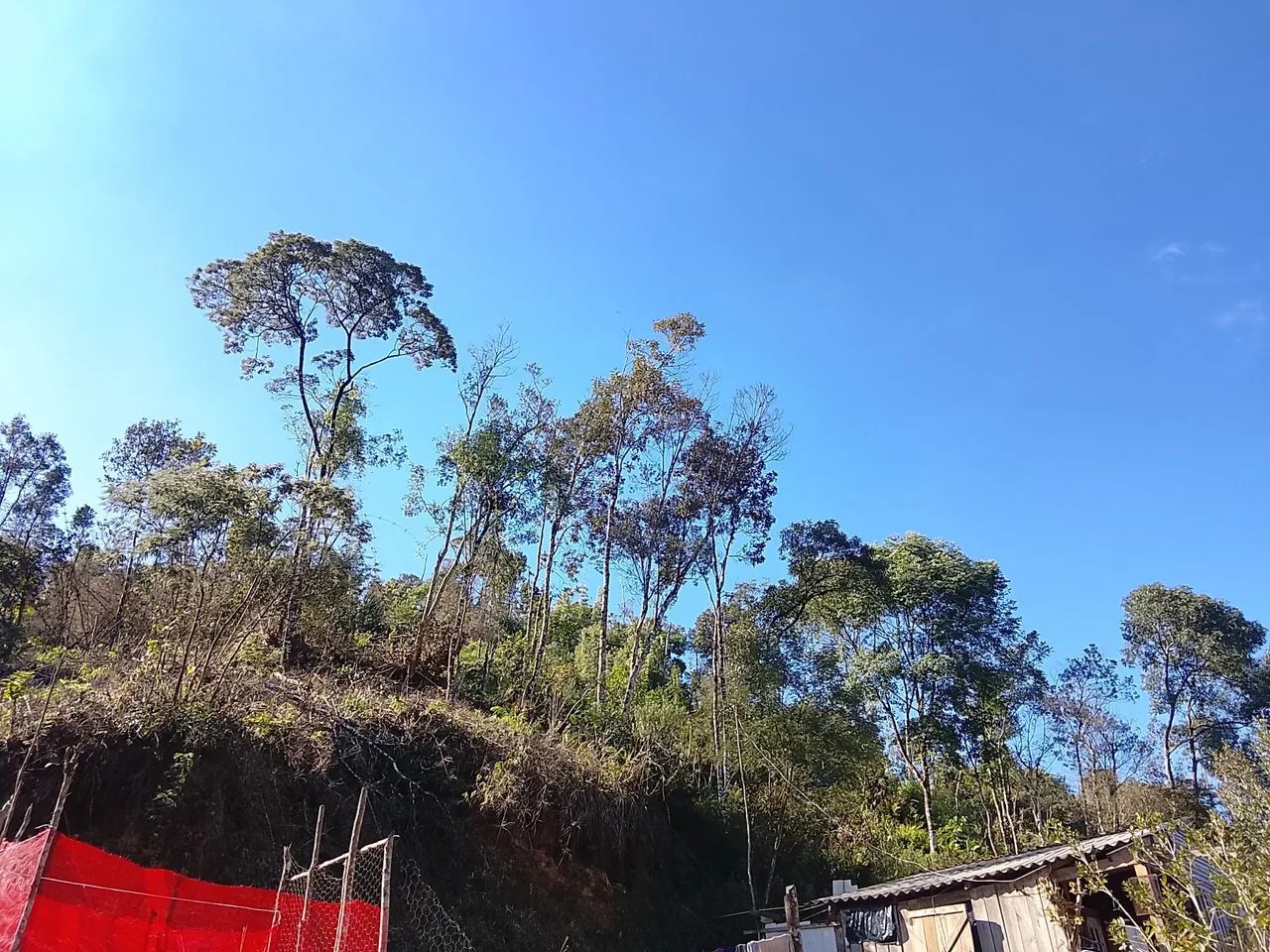 Terreno em Colombo  - Foto 2