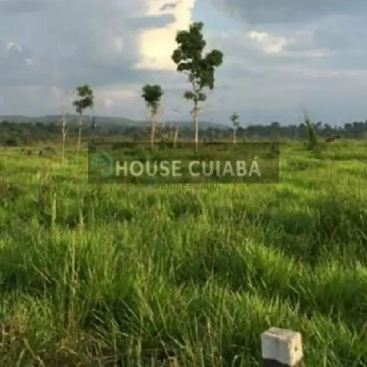 FAZENDA PARA VENDA NO PARÁ