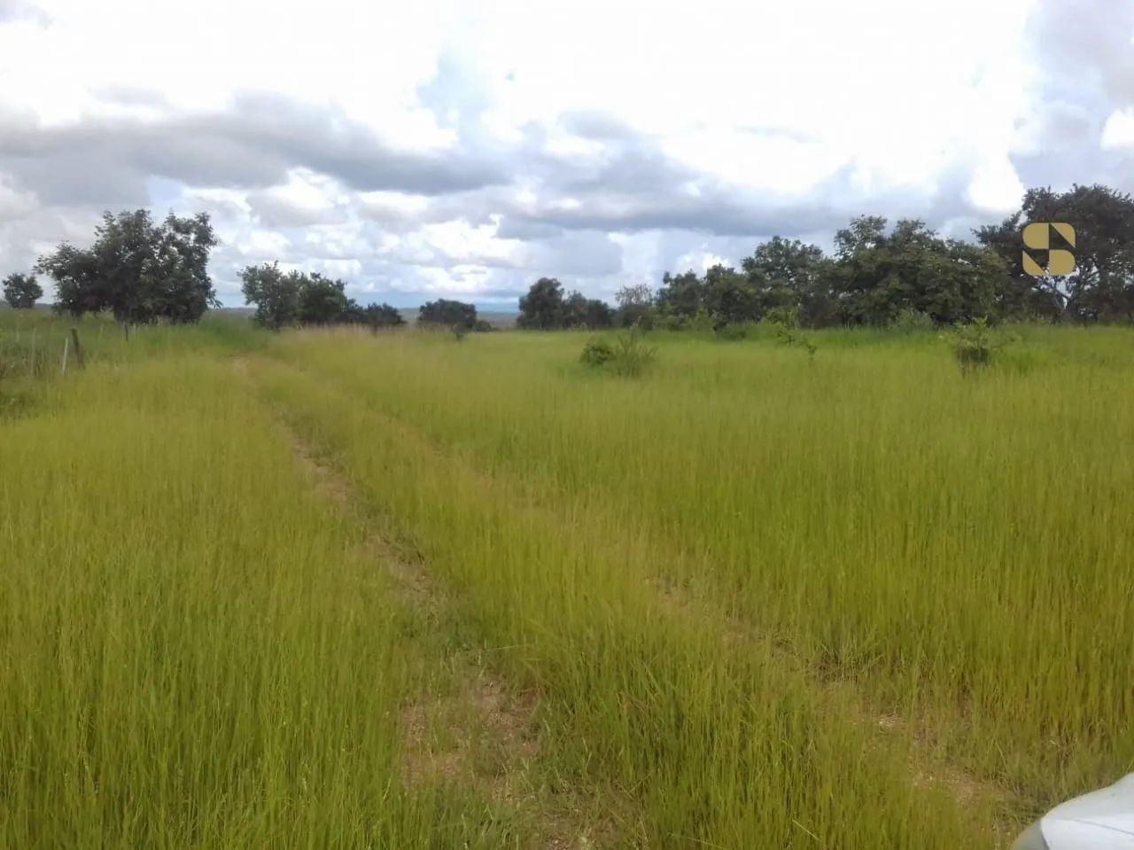 Fazenda em Poconé - Área Rural - Foto 2