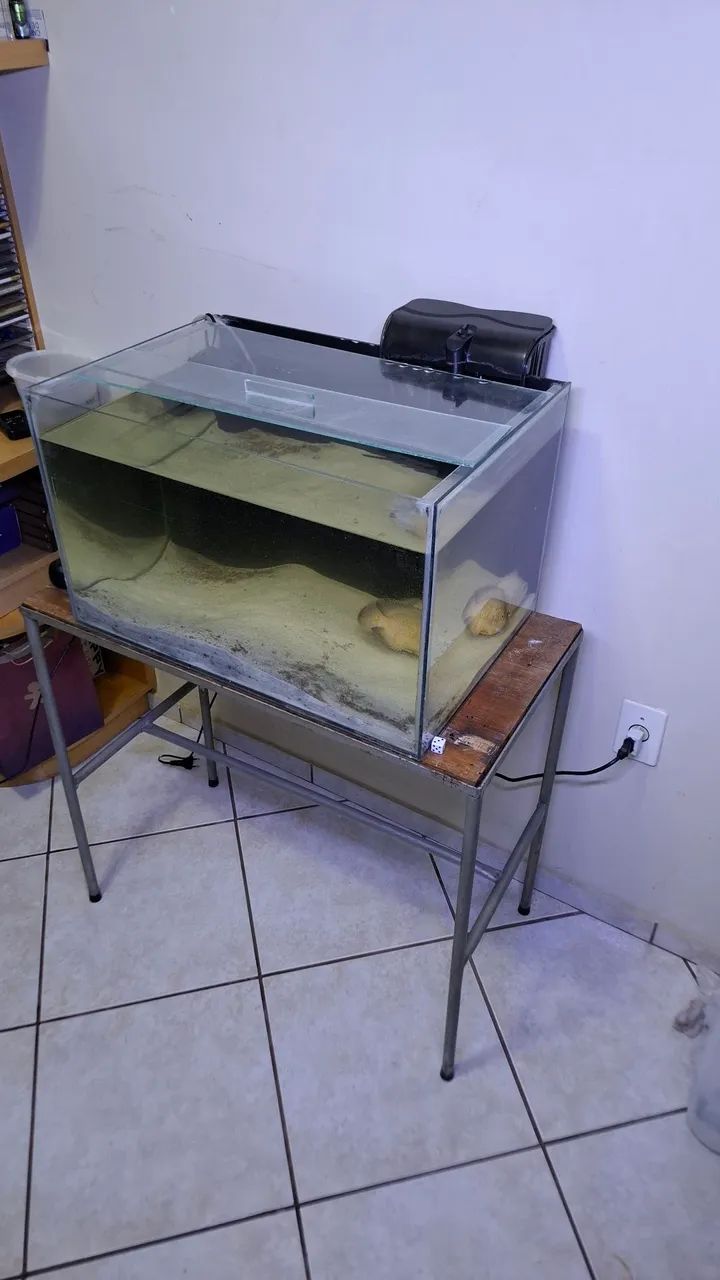 Aquário - Foto 5