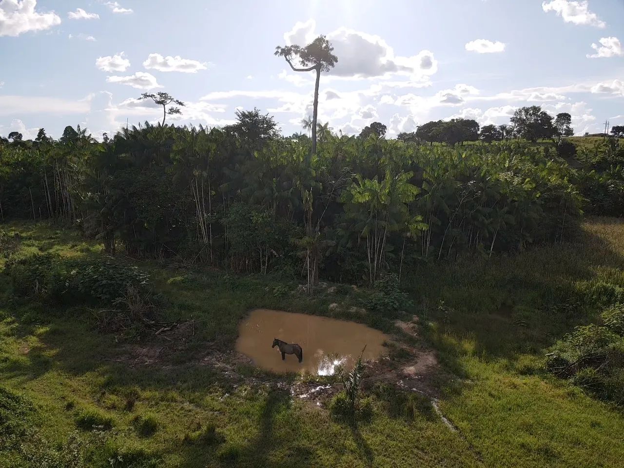 Fazenda 53 alqueires  - Foto 5