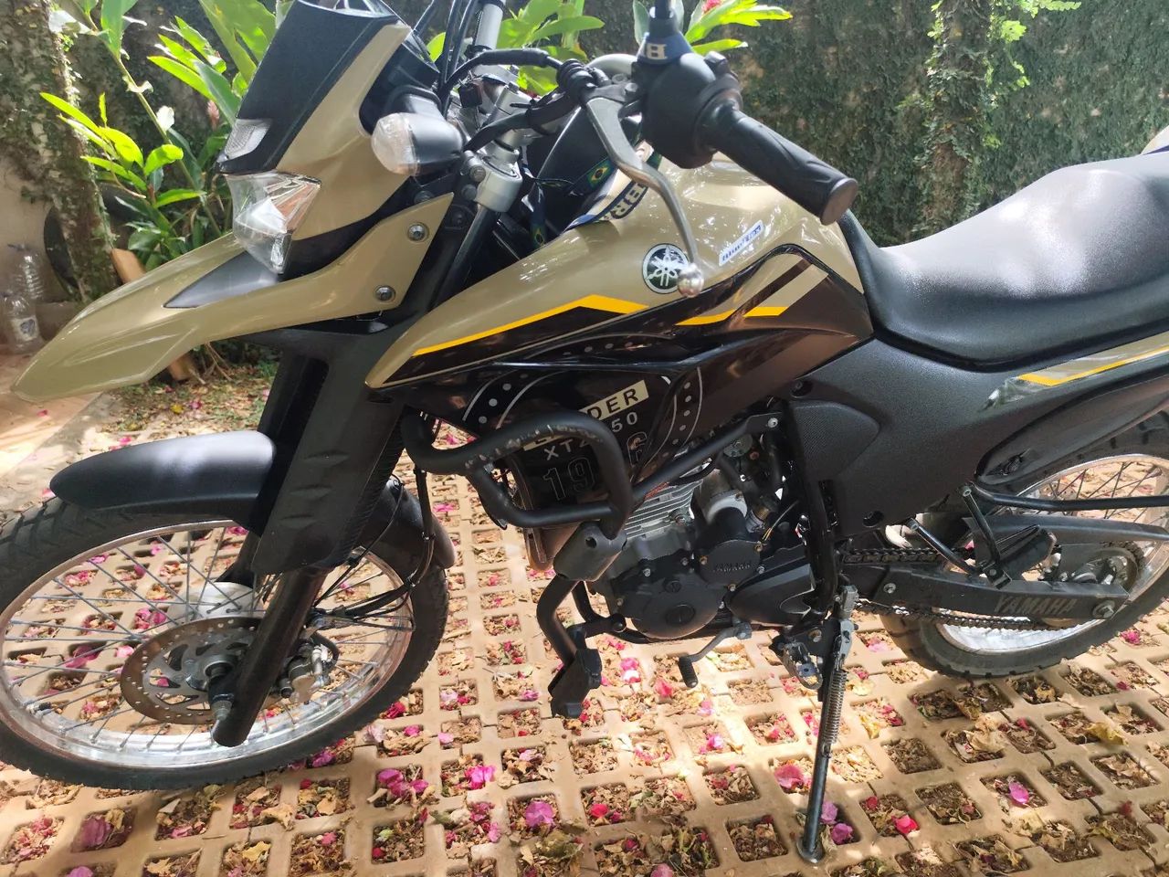 Lander 250