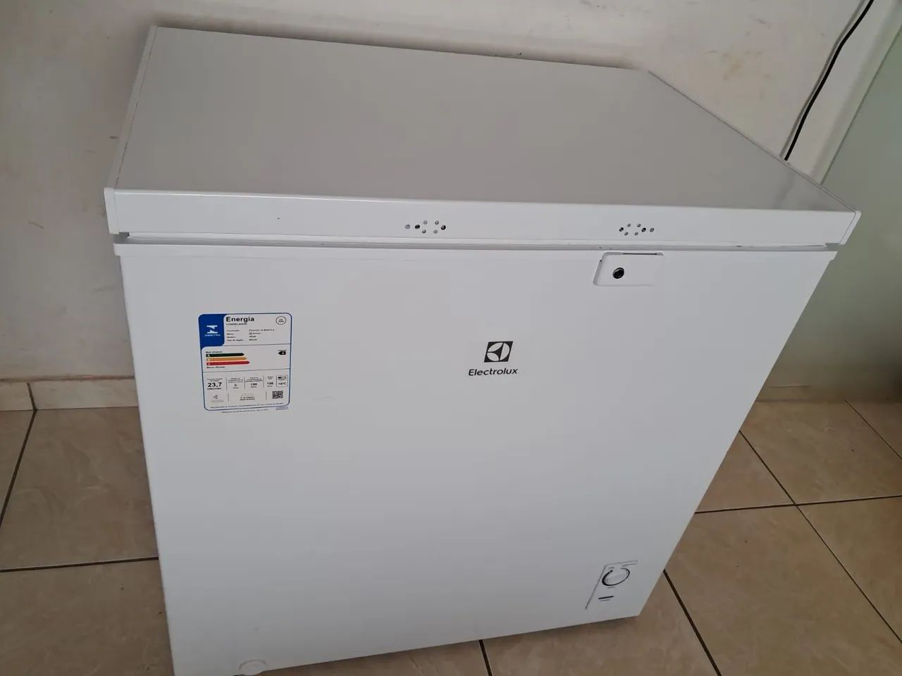 Freezer Electrolux 