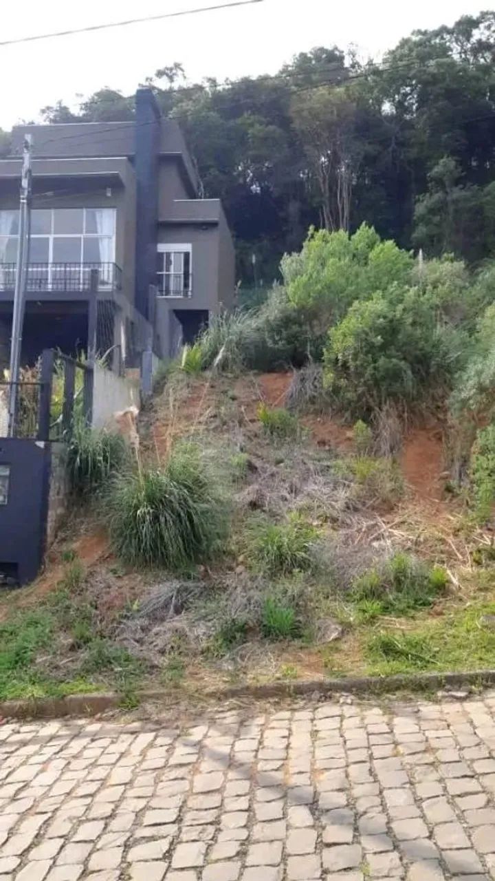 CAXIAS DO SUL - Terreno Padrão - SÃO LUIZ DA 6ª LÉGUA - Foto 2