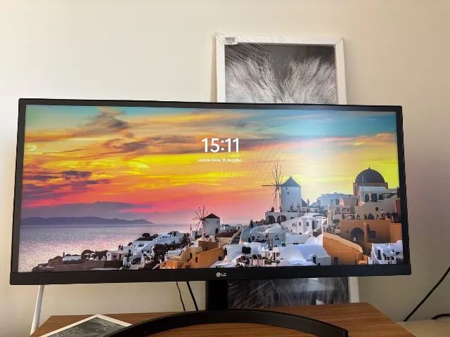 Monitor LG 29  Ultrawide IPS Full HD 75Hz - Excelente Estado