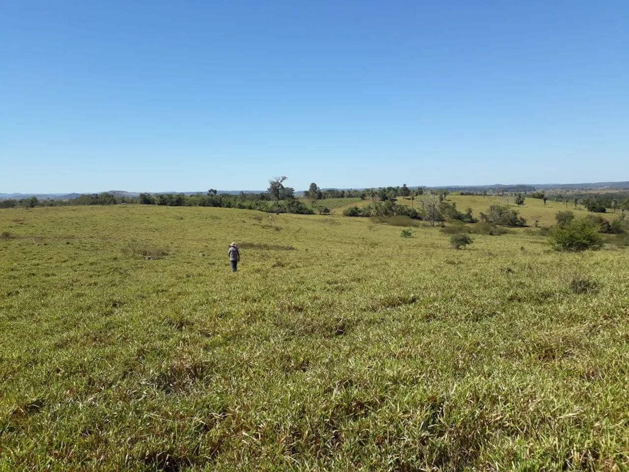 Fazenda em Divinópolis TO - Foto 4