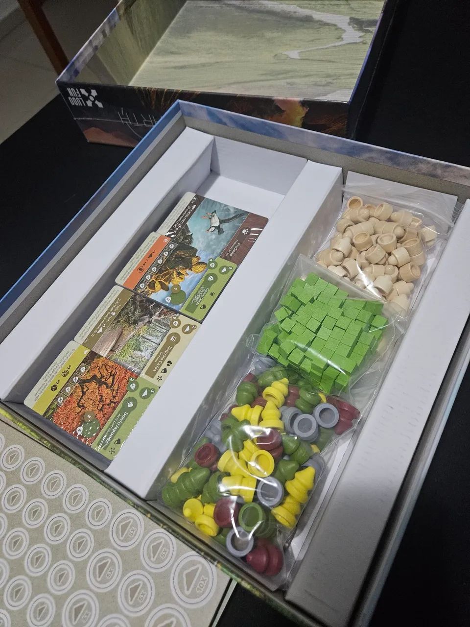 Earth - Jogo tabuleiro  - Foto 4