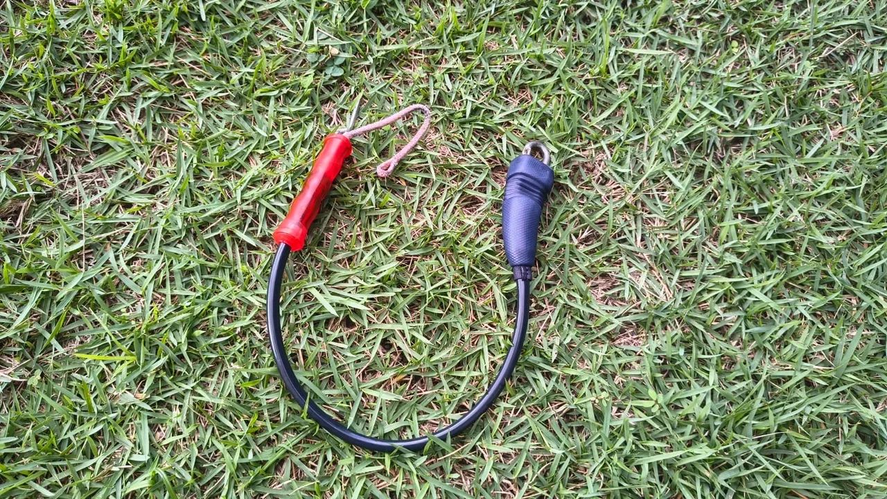 Leash north curto 