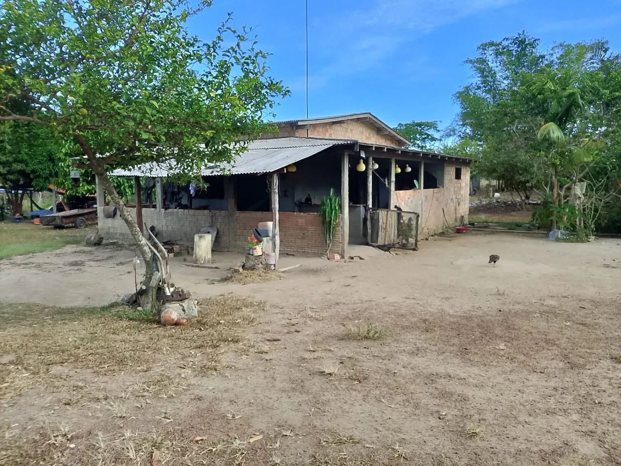 Terreno a venda  se quer comprar só mandar  msg pelo watts terreno muito bom pra criar boi