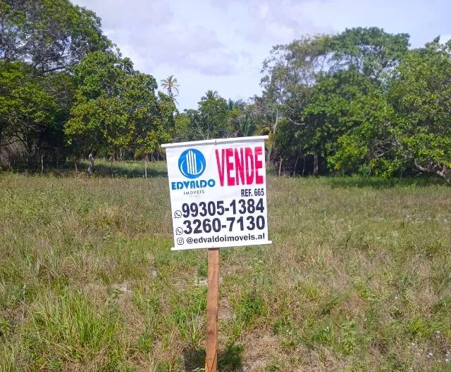 OPORTUNIDADE - LOTE MASSAGUEIRA - 10X30 - 300M² - Foto 2