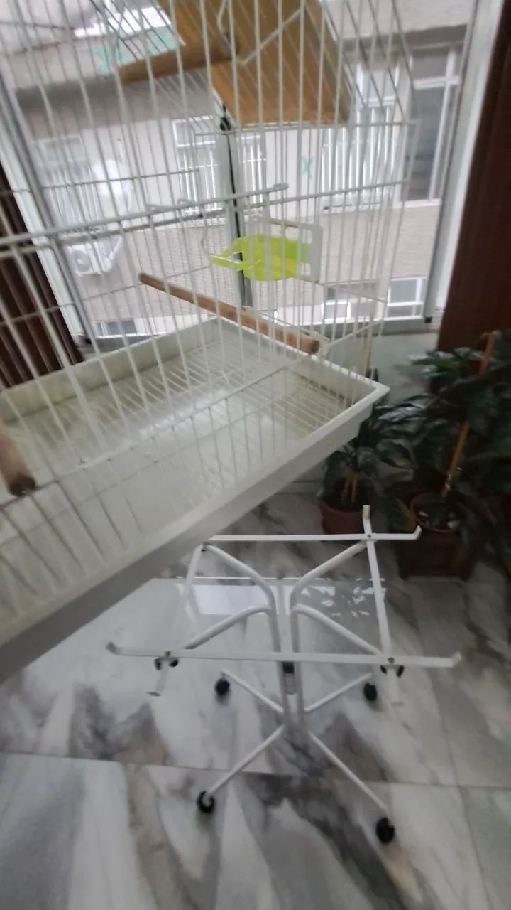 Gaiolas para Pássaros Aceito Ofertas  - Foto 4