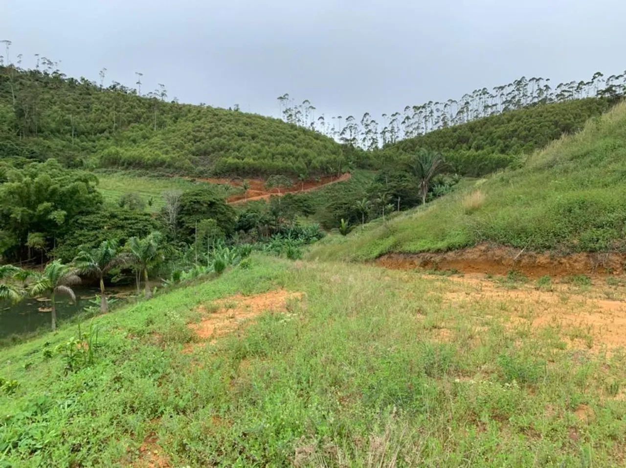 SITIO EM SANTA TERESA 22,6 HECTARES - Foto 5