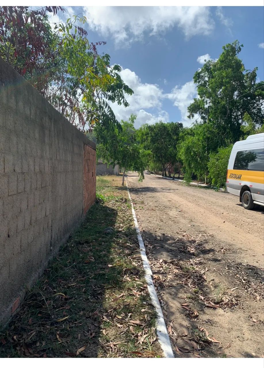 Foto - Paulista - Janga