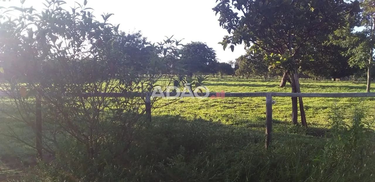 Fazenda Amorinopolis 7 Alqueires - Foto 3