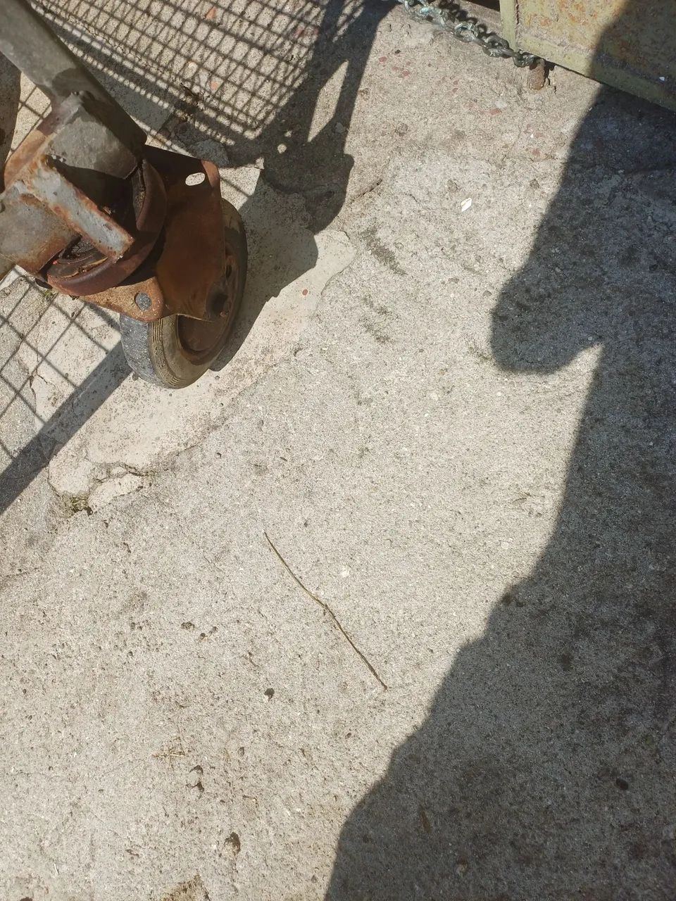 Carrinho de carga - Foto 5