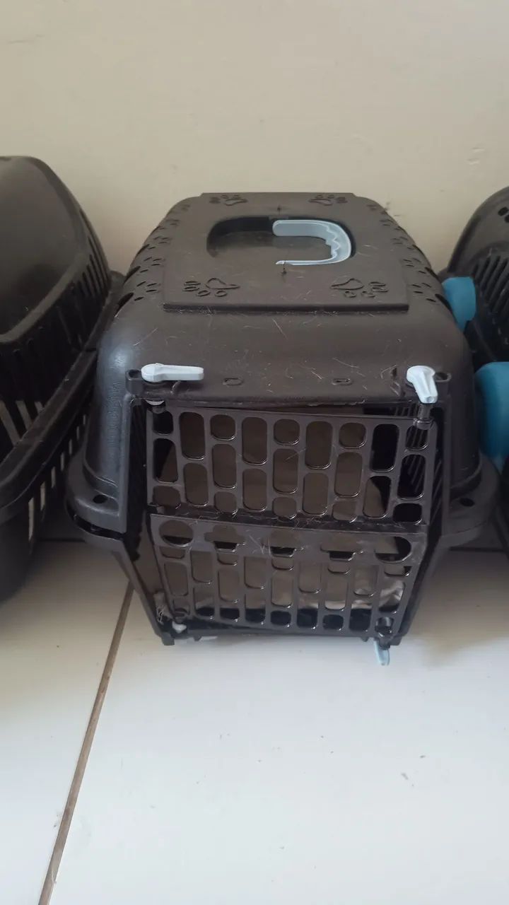 Caixa transporte de gato 
